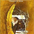Hardy Boys 33 mystery of The Yelow feather